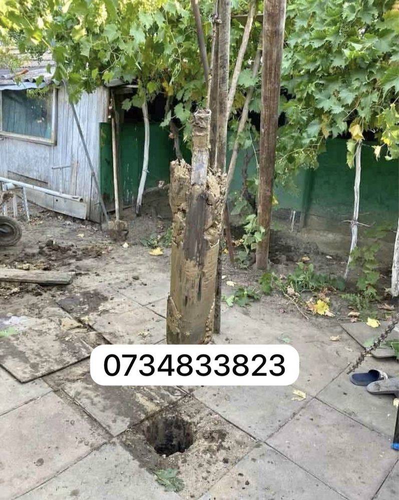 Foraje puturi apa