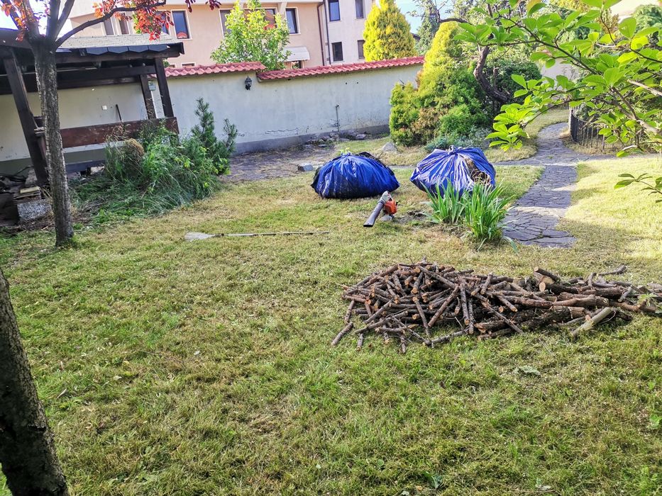 Почистване на дворове. Косене на трева, храсти, рязане на дървета.