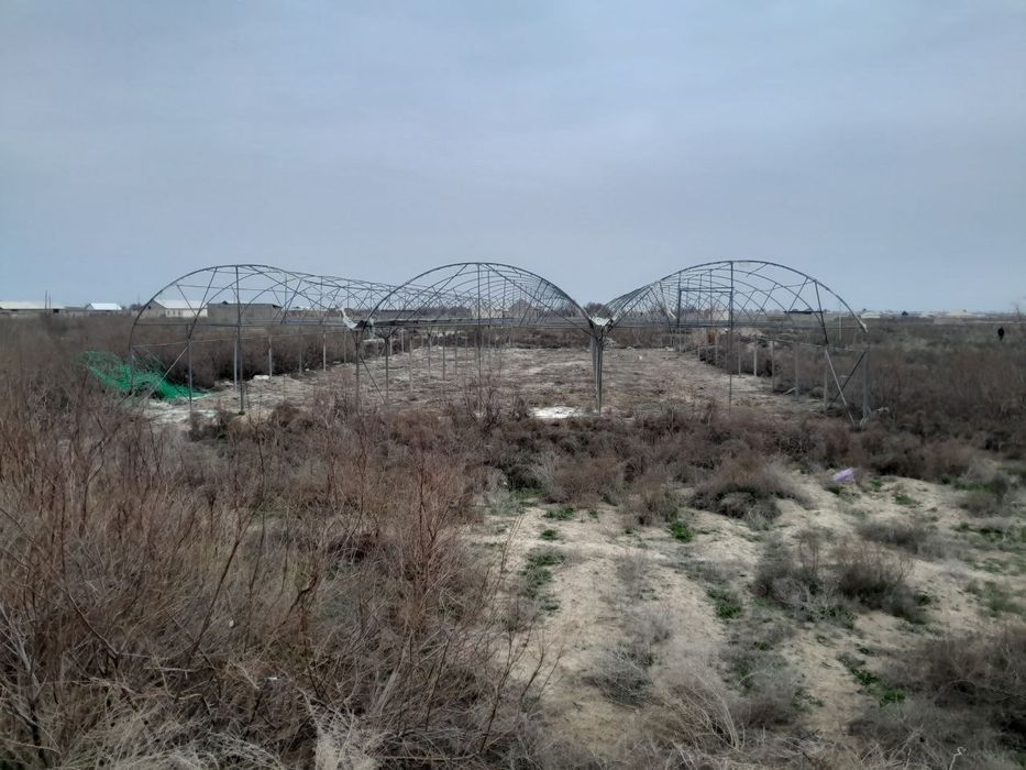 Срочно иссикхона сотилади