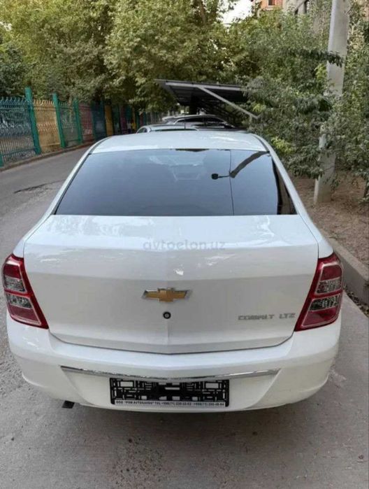 Cobalt Rasssrochka va nasiya bank aralashuvisz