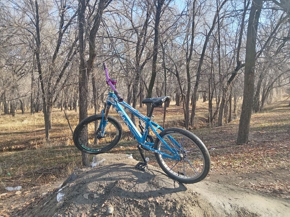 Велик барс в хорошем состоянии