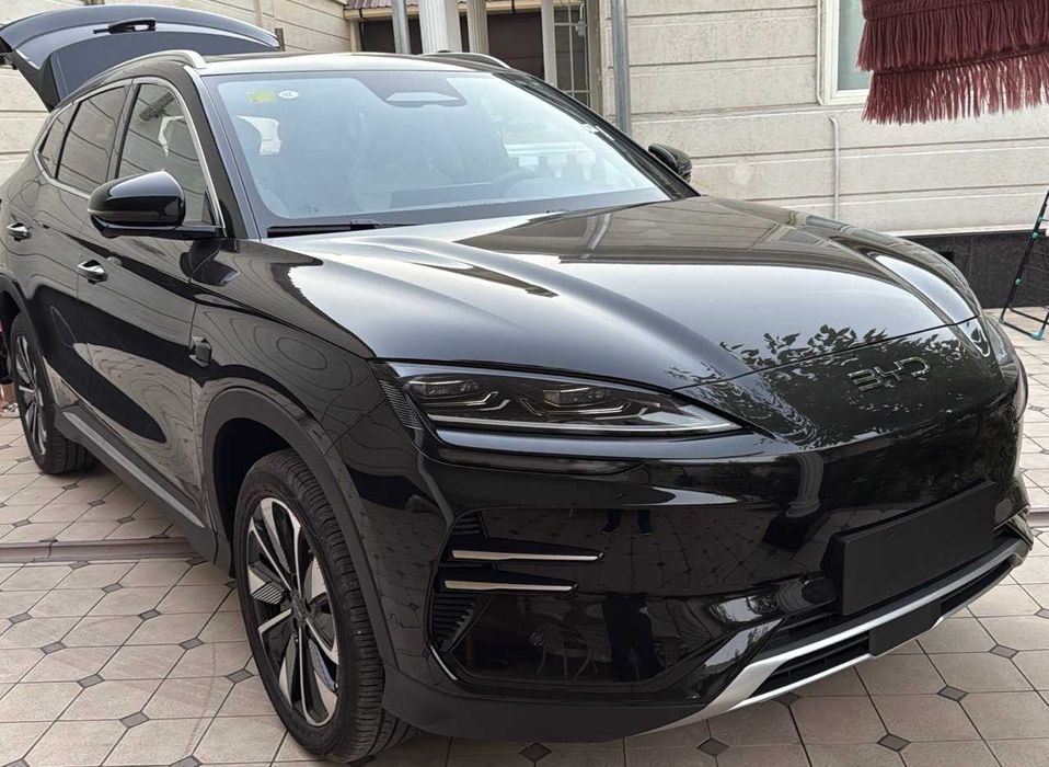 BYD Chempion Smart 2025 EV