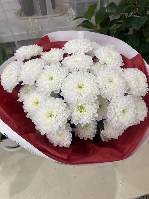 Красивый букет цветы Хризантема.