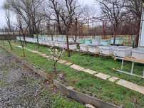 Familii de albine  Stupi - multietajat ramă 3/4