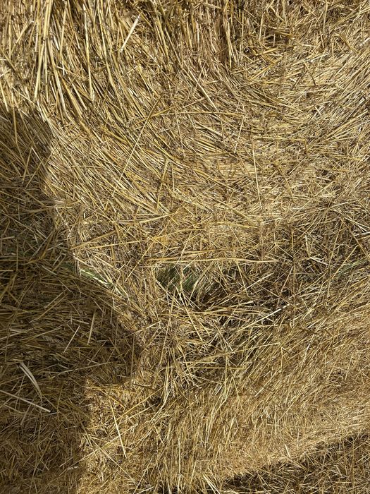 Слама за животни