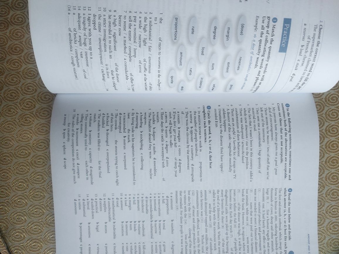 Grammar and vocabulary for Cambridge Advanced and Proficency