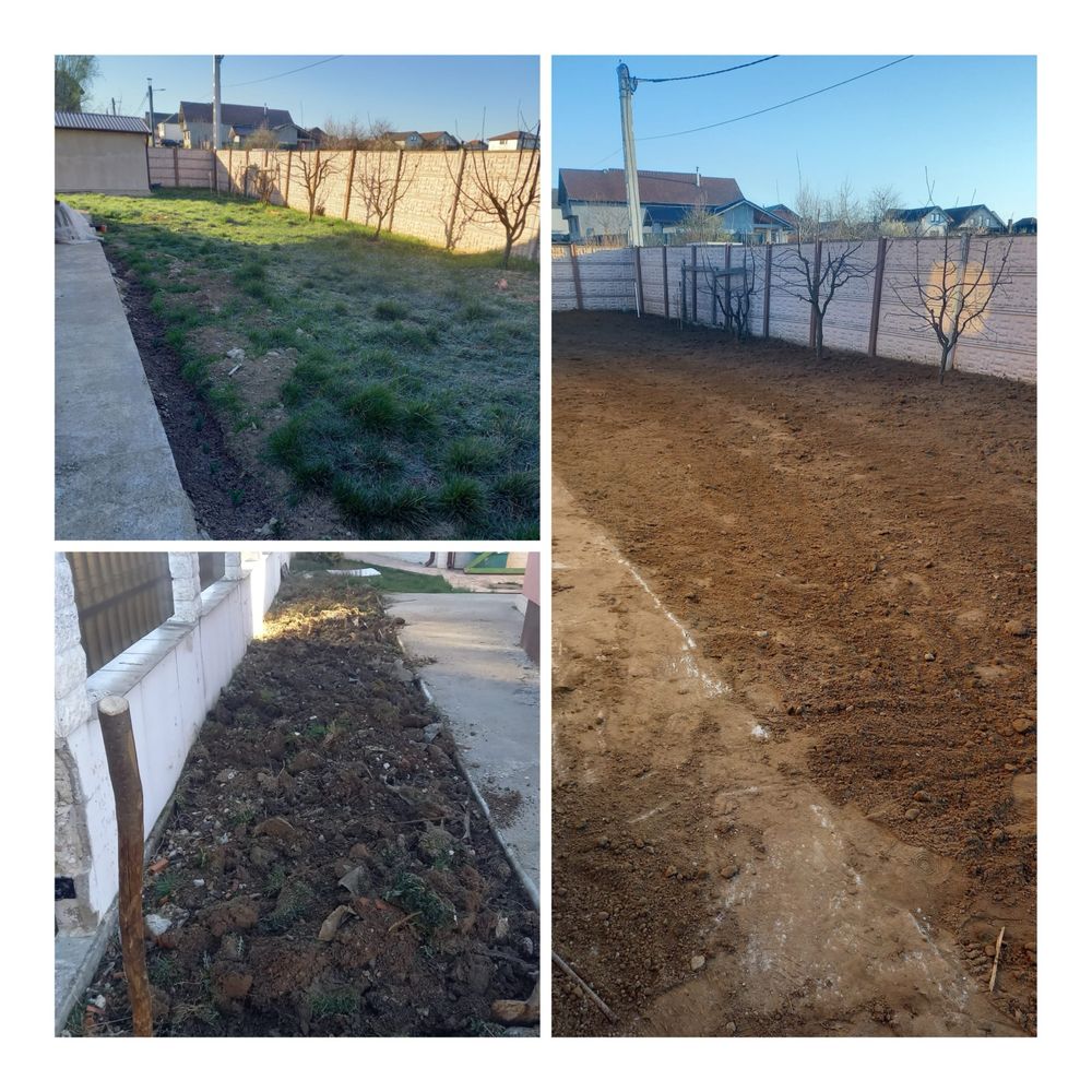 Defrișări, tuns gazon, amenajări grădini – Bihor + Reduceri