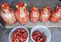 Ягоды доставка клубника ирга свежий ягоды жидек овощи фрукты сахар
