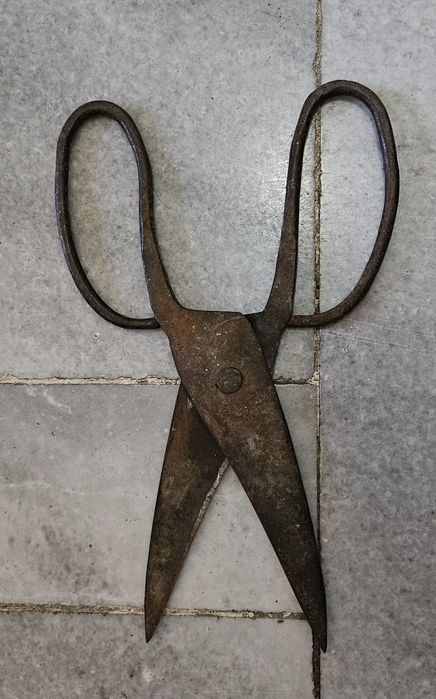 Голяма кована ножица