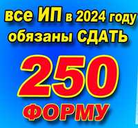 Сдать налоговый отчет 250 и 270 для ИП ТОО и физических лиц + 910 ФНО