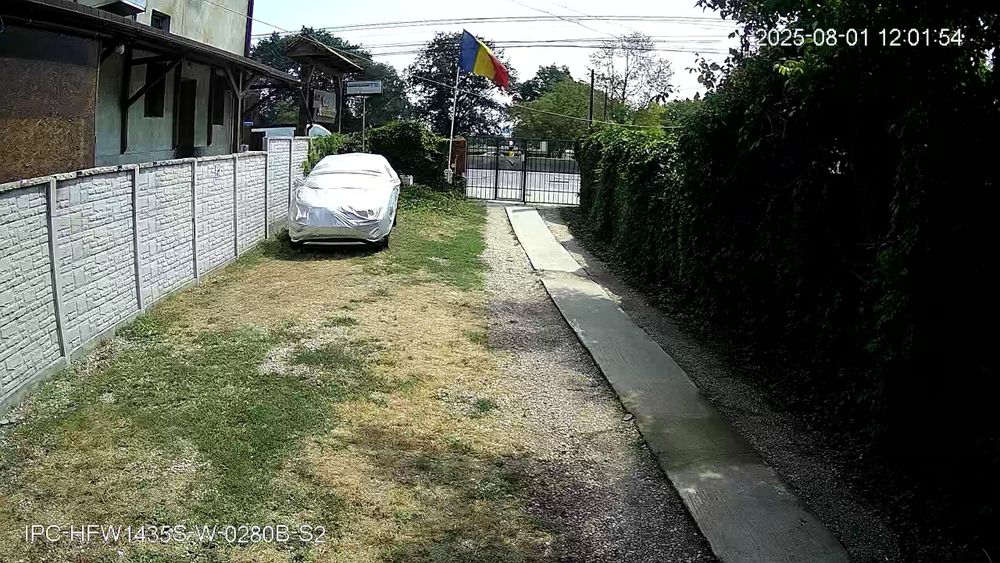 Curățenie curte,gradina,1000 m2
