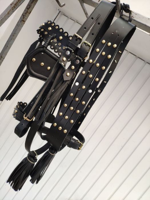 capici-cu-salba CAL/MAGAR/PONEI | set premium ... ⟣GARANTIE ⁴⁸