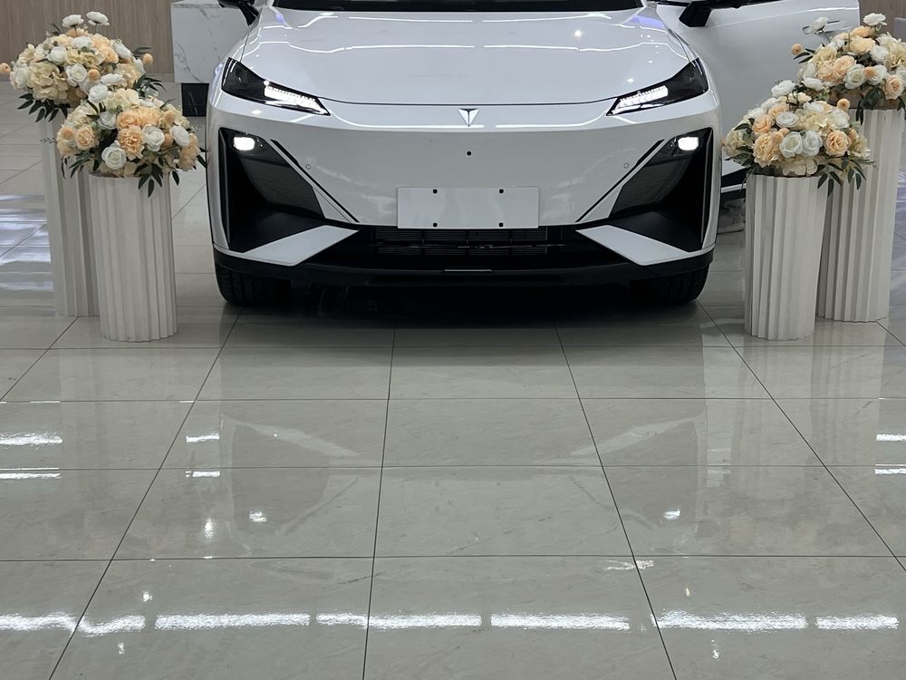 Changan depal s07