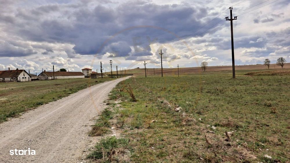 Teren intravilan de 1 Ha, cu iesire la lac, pretabil parc fotovoltaic