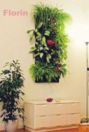 Suport ghivece perete flori pt cei pasionati. Ideal pentru cadou!