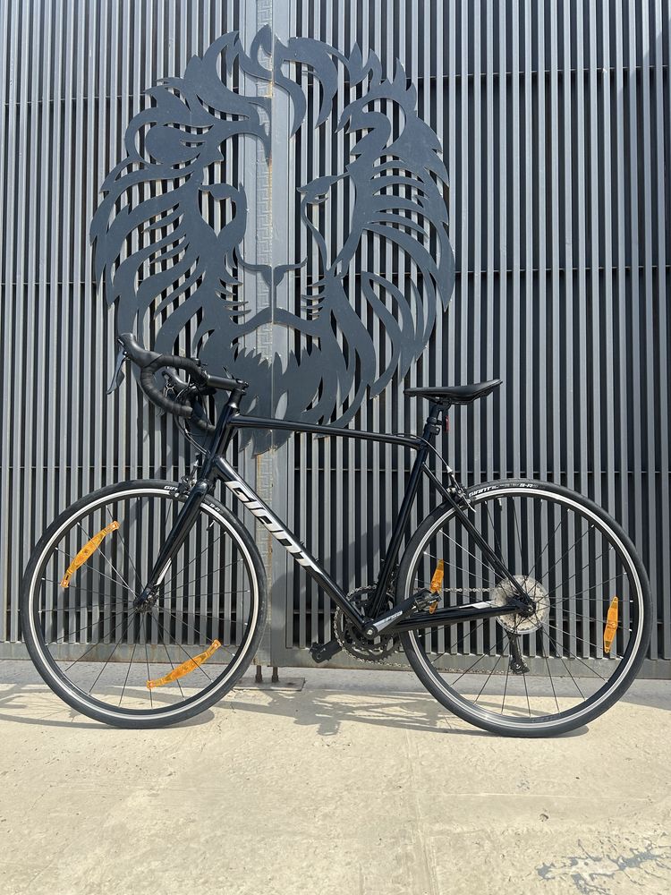 Шоссейник Giant contend 3 2024
