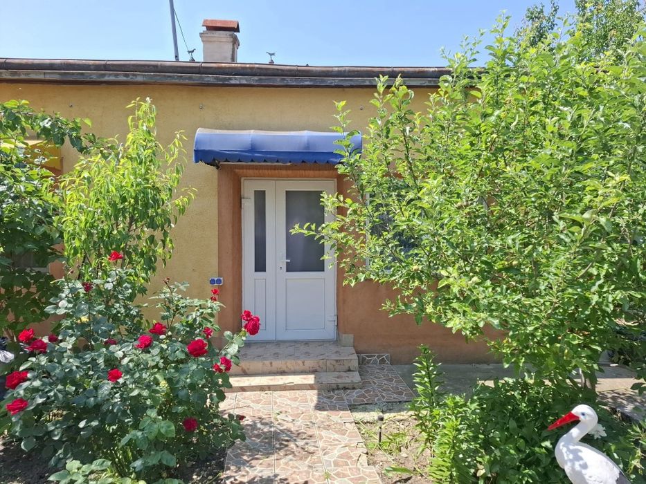 Vand casa in Botosani