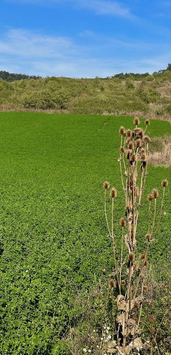 2800m2 teren cu deschidere la DN Bocsa (Salaj)