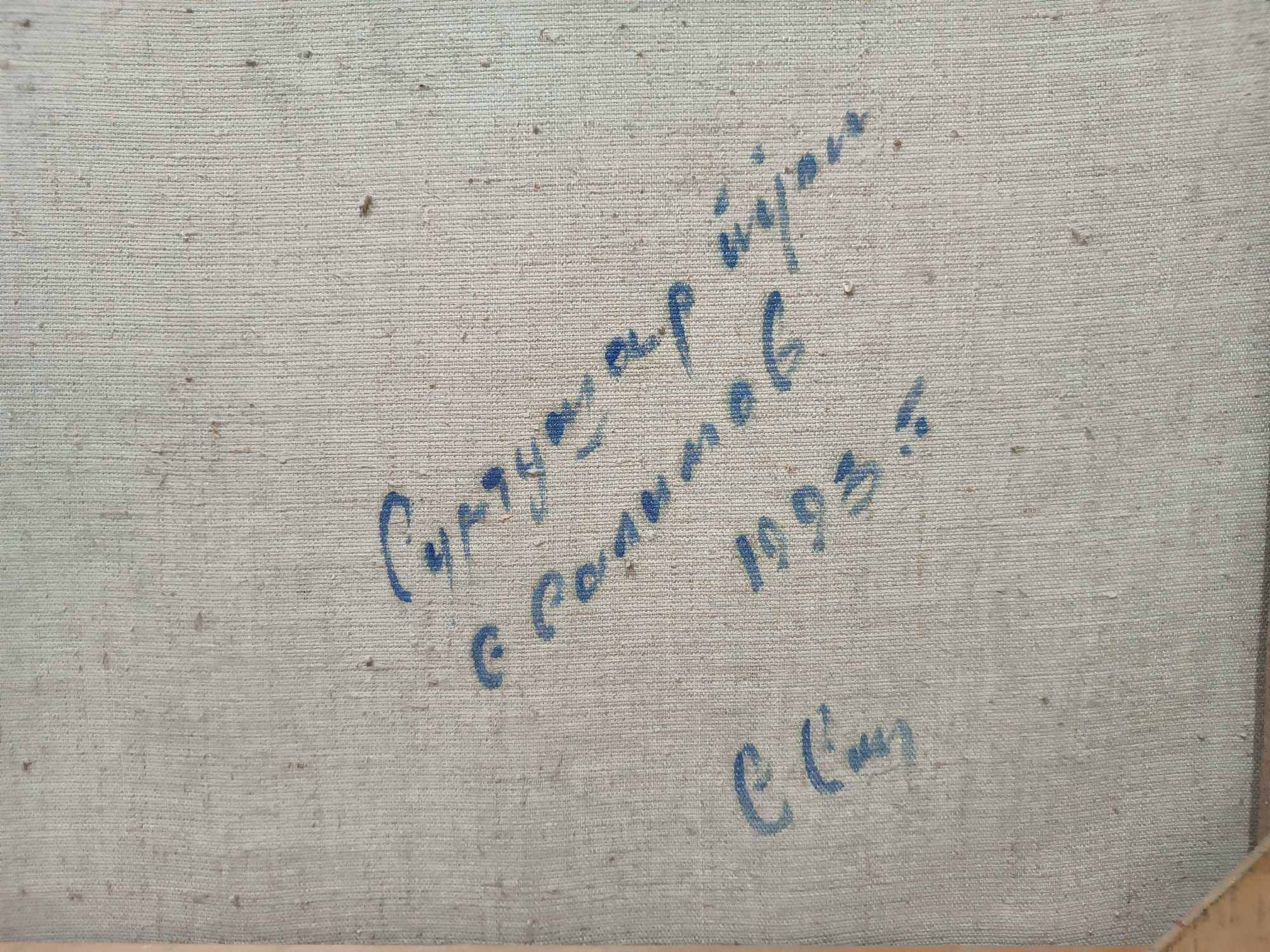 C. Салимов "Сувтушар йули". 1993г.