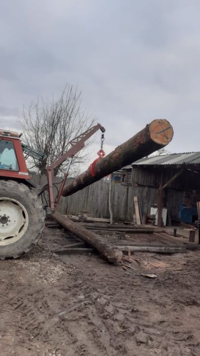 Clește bușteni / ridicare lemn 80 cm