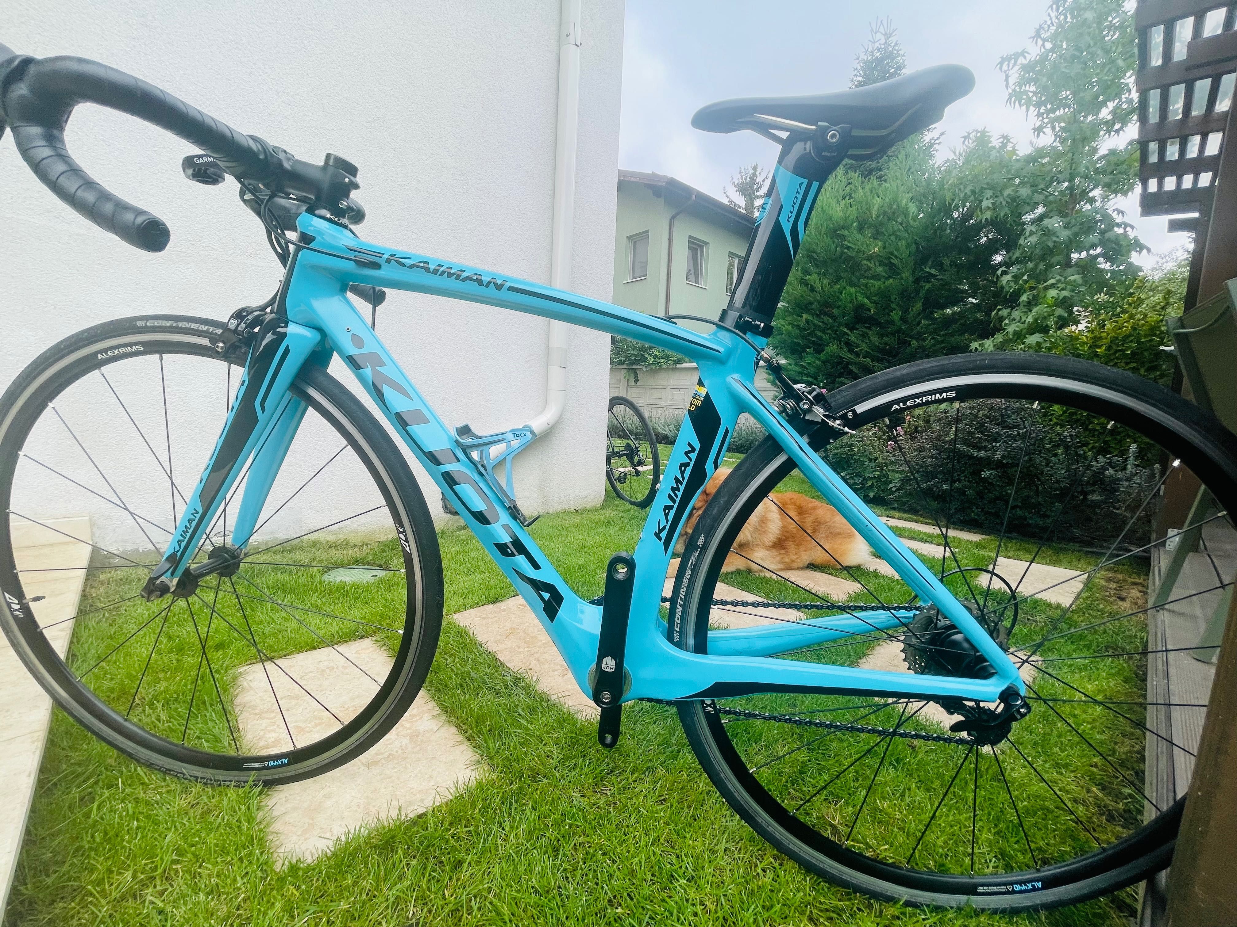 Cursiera copii Kuota