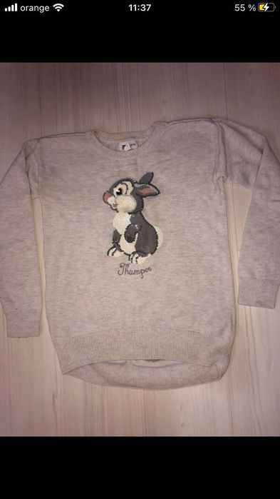 Pulover 12-13 ani Gap