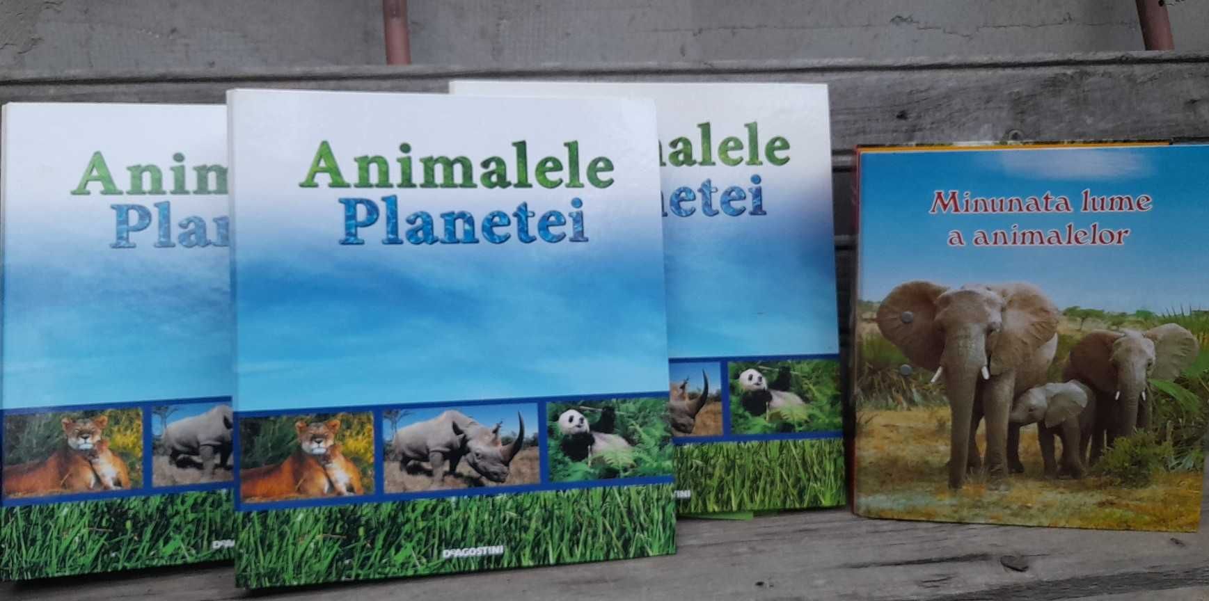 Enciclopedii Animalele Planetei set + Minunata Lume a Animalelor