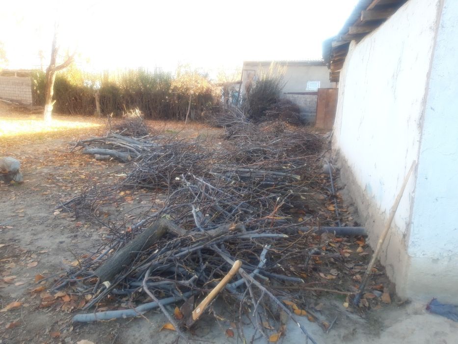 Yonğoq otin sotiladi