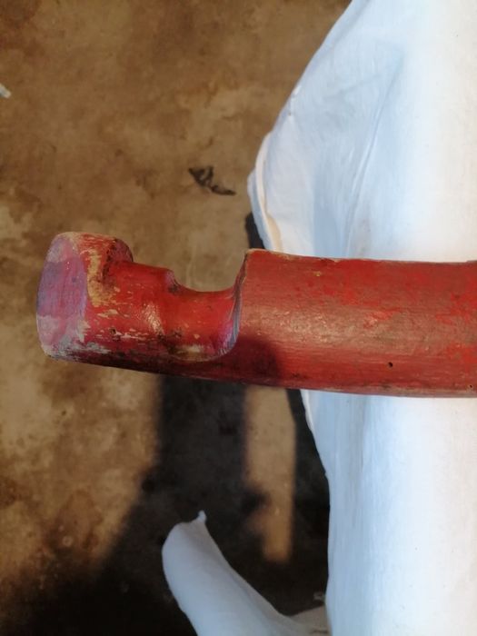 Автентична кобилица