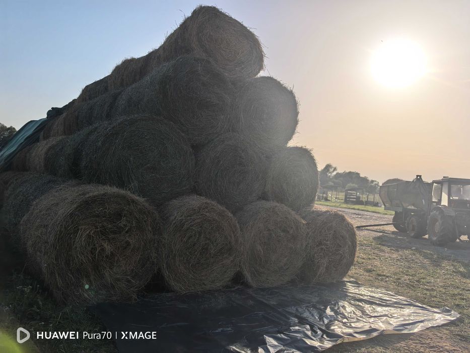 Vand baloti de fan si lucerna