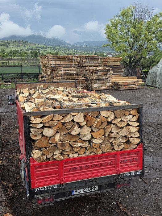 Lemn lemne de foc uscate esență tare