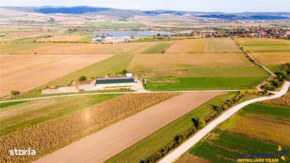 FILM! 18.000 mp,extravilan,agricol+constructii, recomandat:ferma,inves
