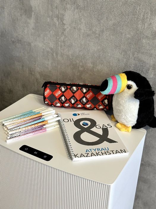 Набор для школьника/студента блокнот, пенал, ручки, игрушка