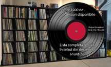 Disc discuri vinil vinyl viniluri LP [FOLK / ROCK / POVESTI / CLASICA]