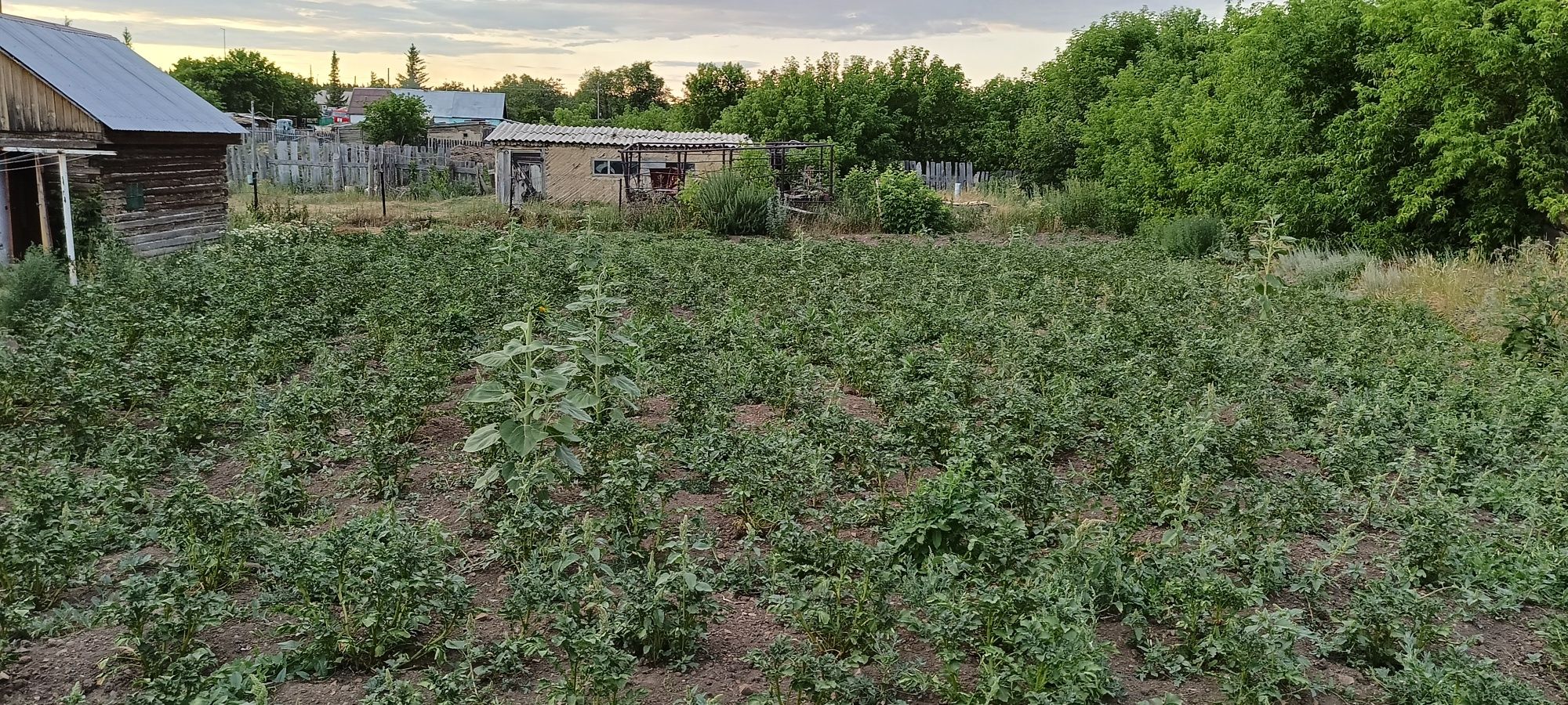 Продам отдельно стоящий дом