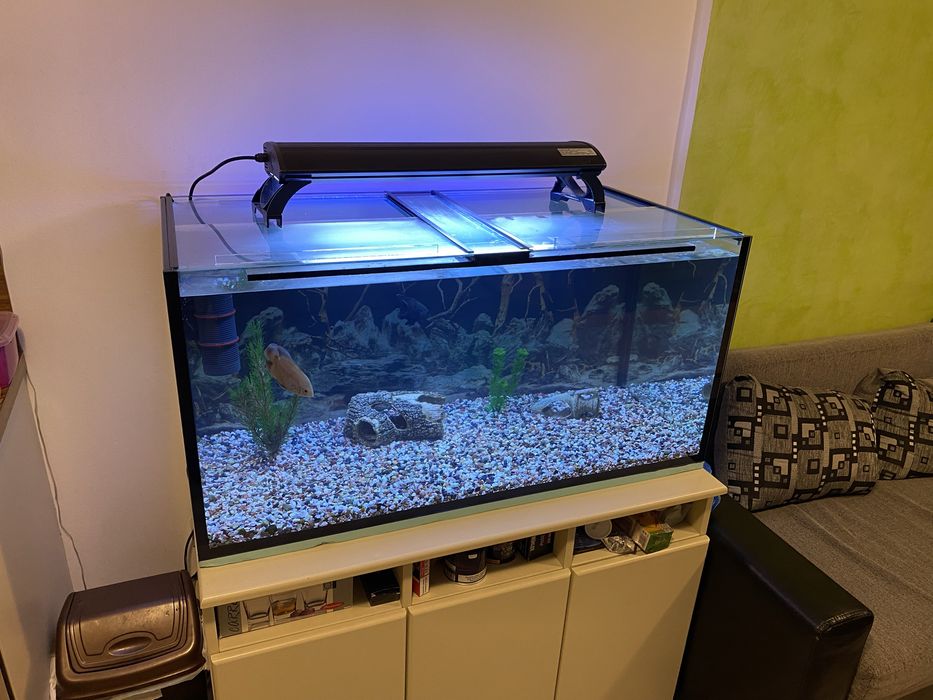 Продавам аквариум + шкаф