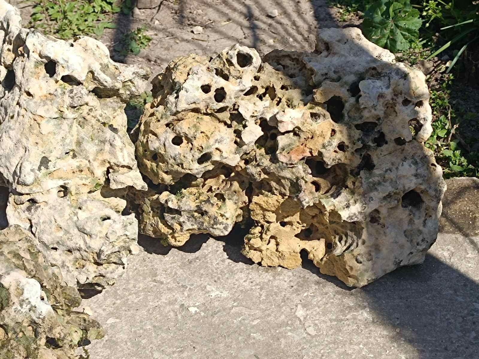 Естествени камъни за аквариуми и езеро