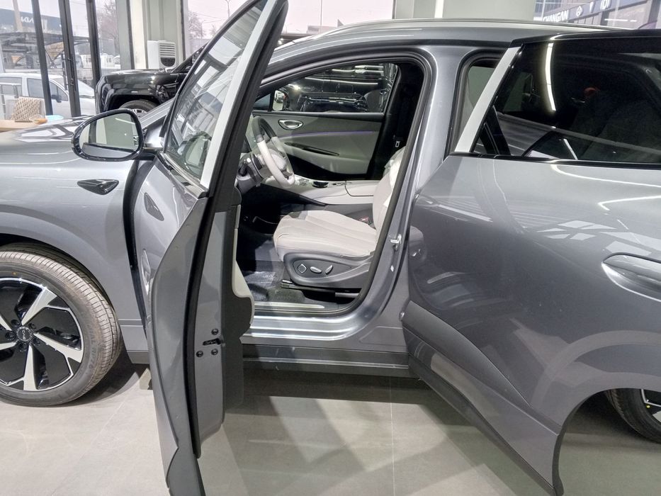 BYD Seolion 06 full pozitisia