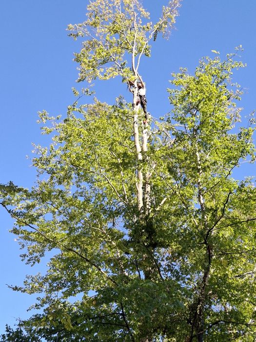 Alpinism utilitar