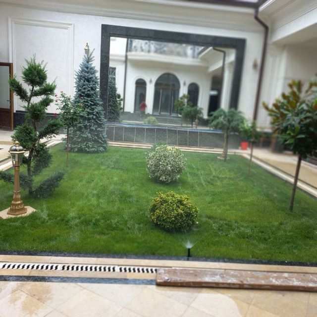 Газон ландшафний дизайн