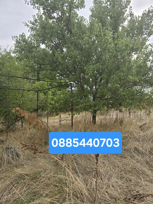 Къща с двор в село Пряпорец