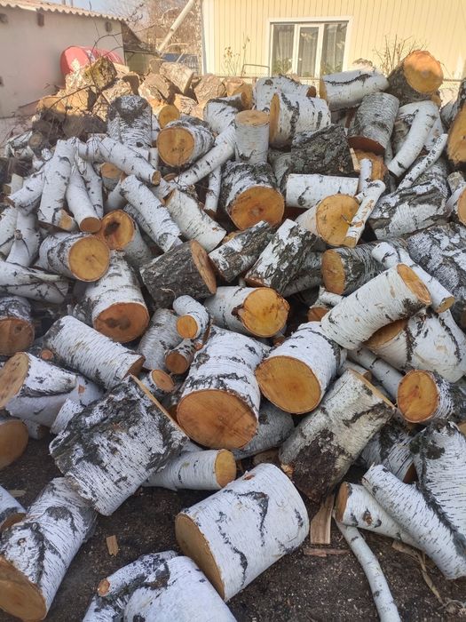 Дрова береза чурками