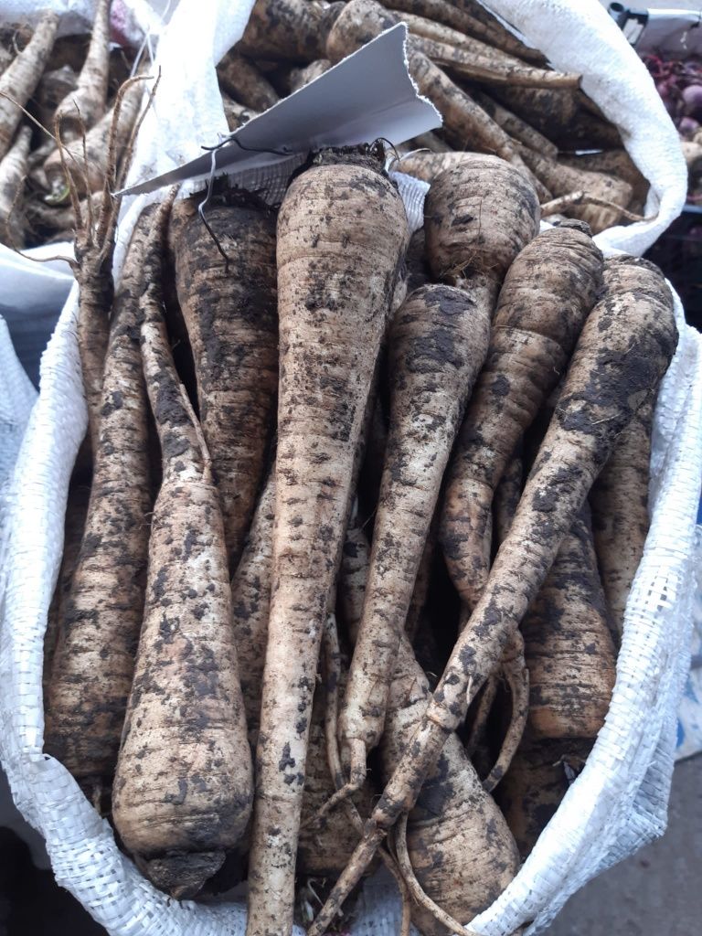 Vând        legume