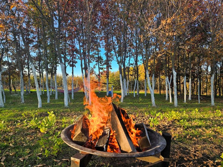 Închiriez teren gradina urbana pentru recreere - București