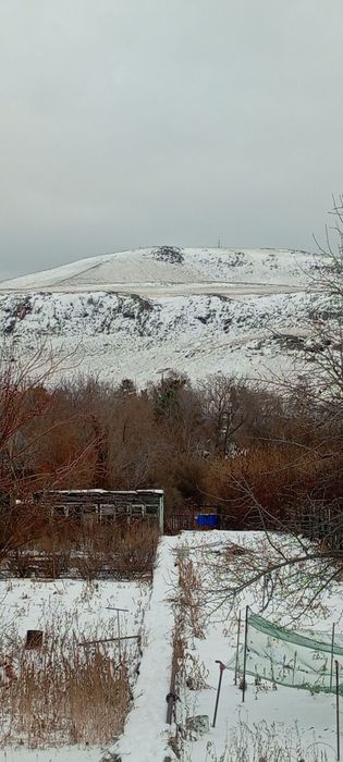 Продаю срочно дачу ДО МИЧУРИНЕЦ