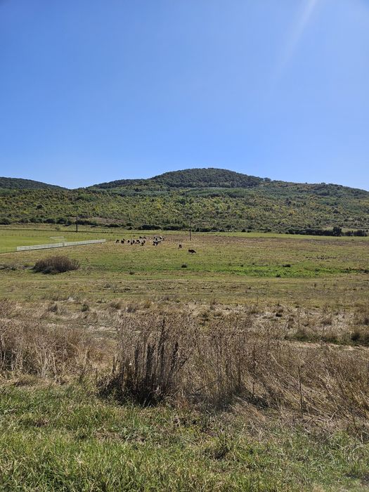 Vand TEREN - Crețeștii de Sus, jud. Huși, Vaslui