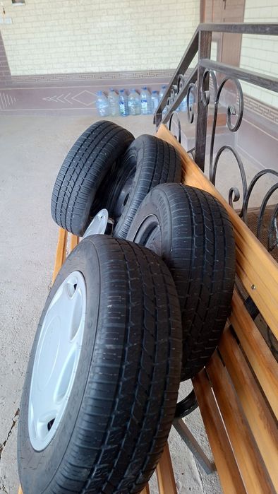 13 diska balon kalpaglari bilan