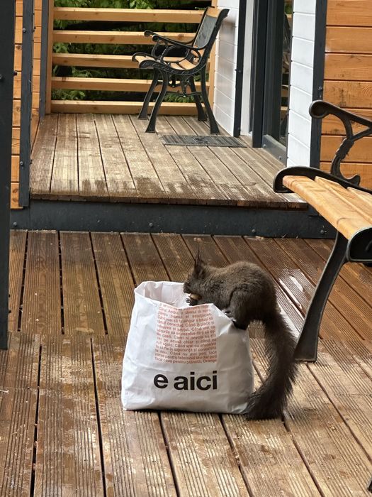 Panoramickub Sucevita