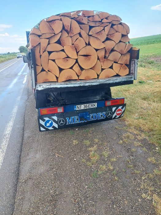 Lemne de foc de fag tăiate la dimensiunea dorita transport gratuit