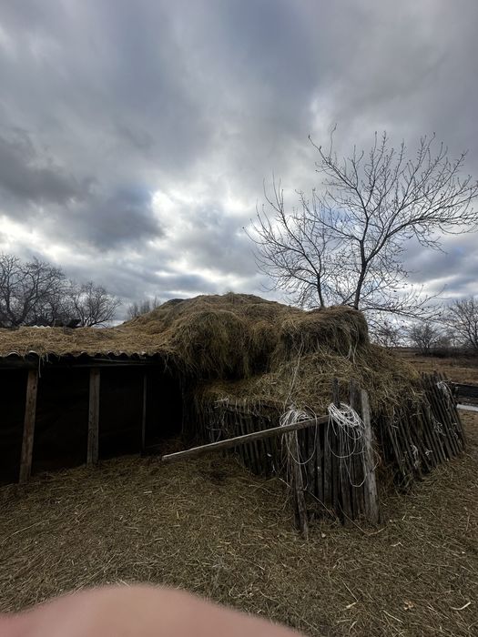 Продам сено свежие